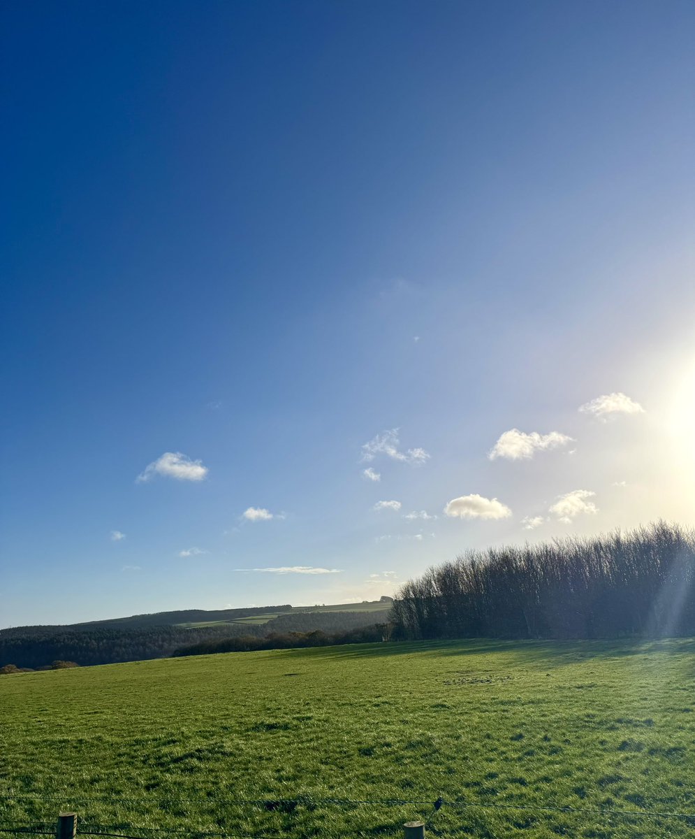 Dr Marie Gressmann tweet media