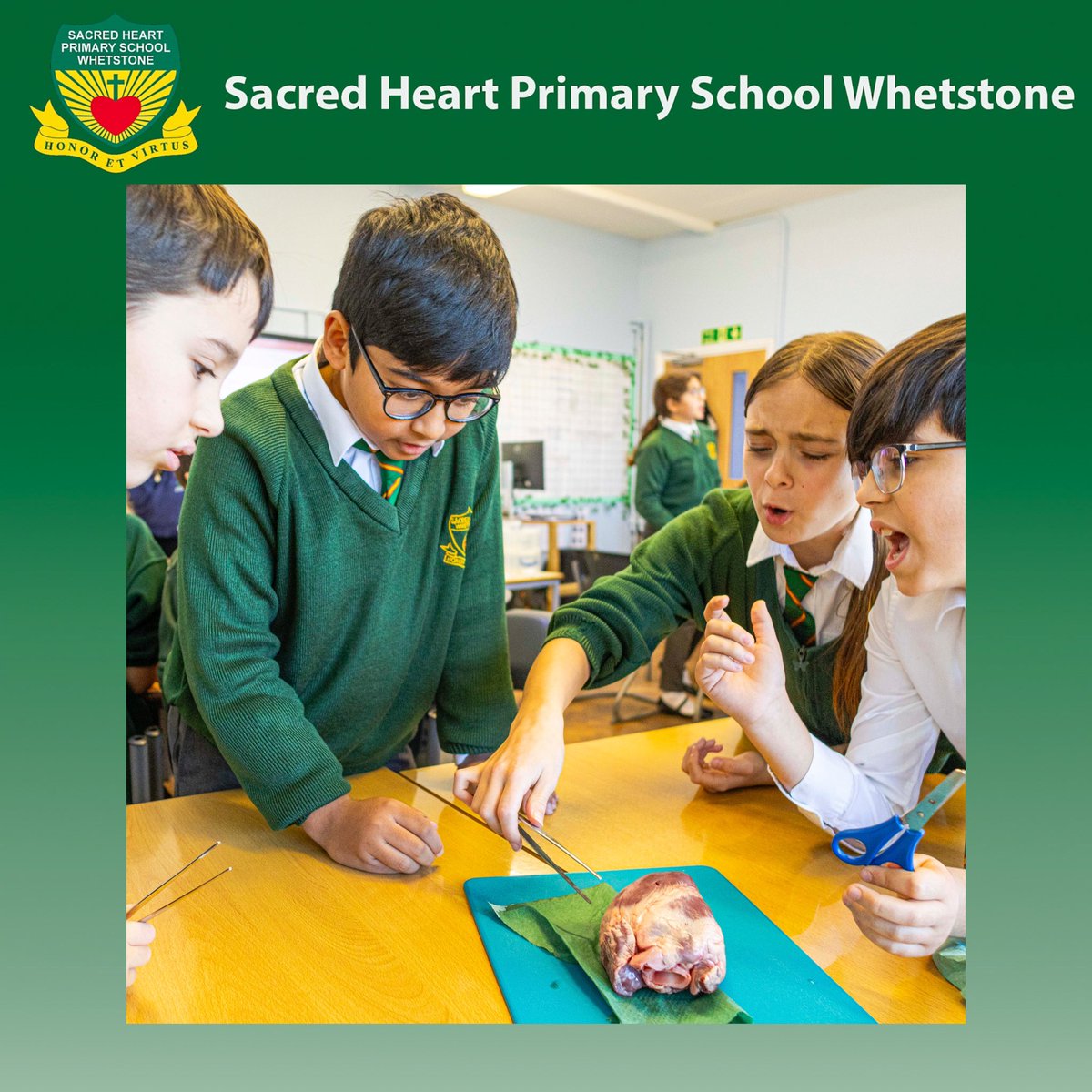 Sacred Heart RC Primary School tweet media