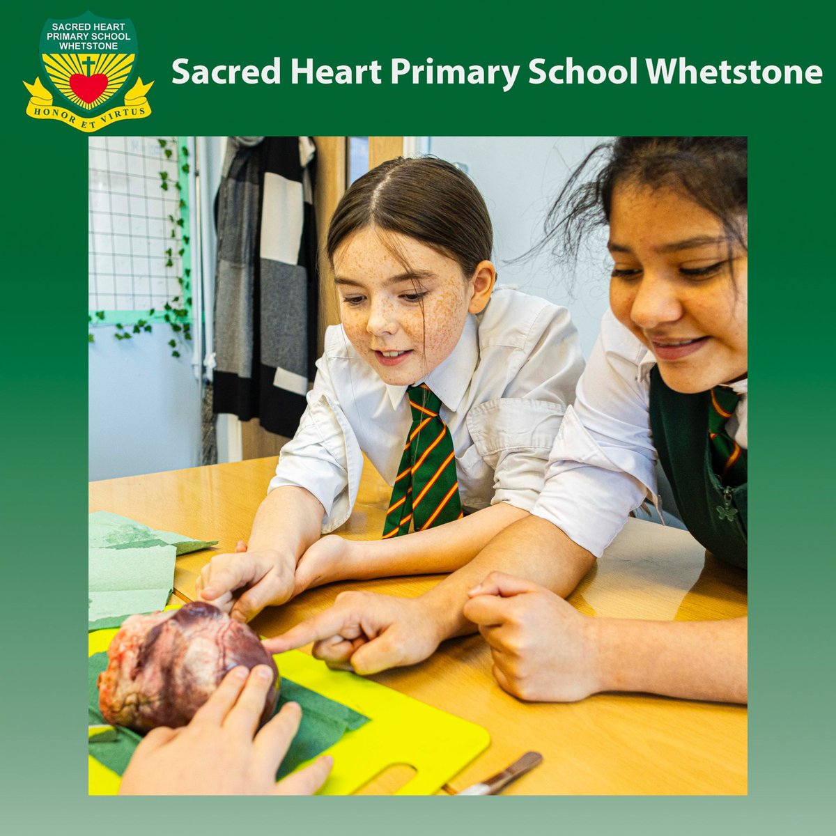Sacred Heart RC Primary School tweet media