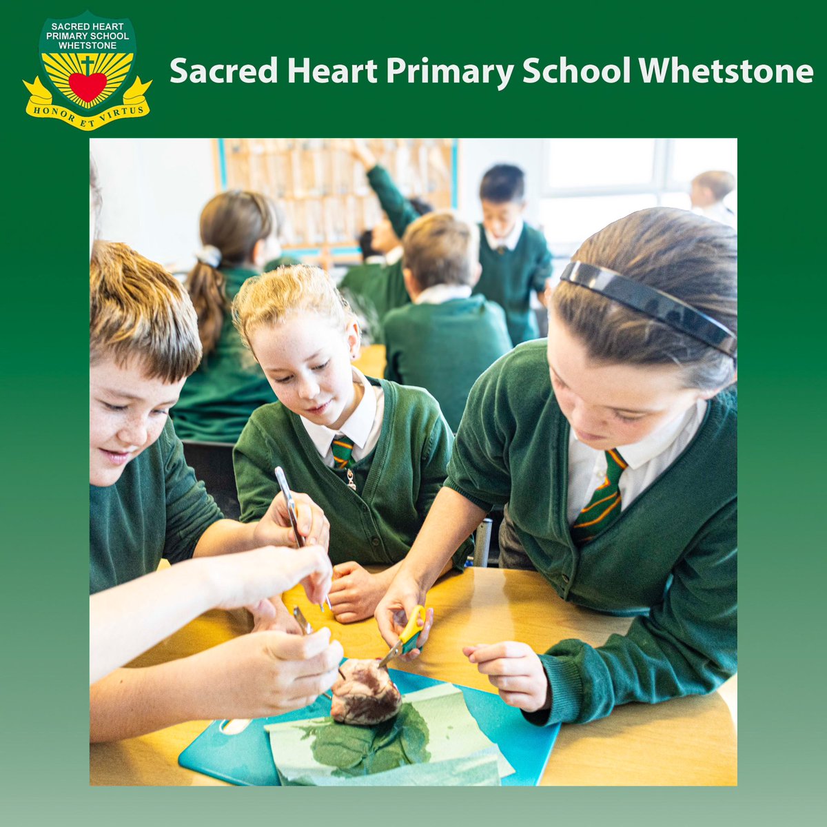 Yr 6 had a wonderful time dissecting a lamb’s heart.It is great to link other subjects together.Yr 6 have been reading <a href="/malorieblackman/">Malorie Blackman</a>’s ‘Pig Heart Boy’ &amp; using it as an impetus to write a variety of genres in English.Thank you to <a href="/hands_science/">Hands-On-Science</a> for the workshop