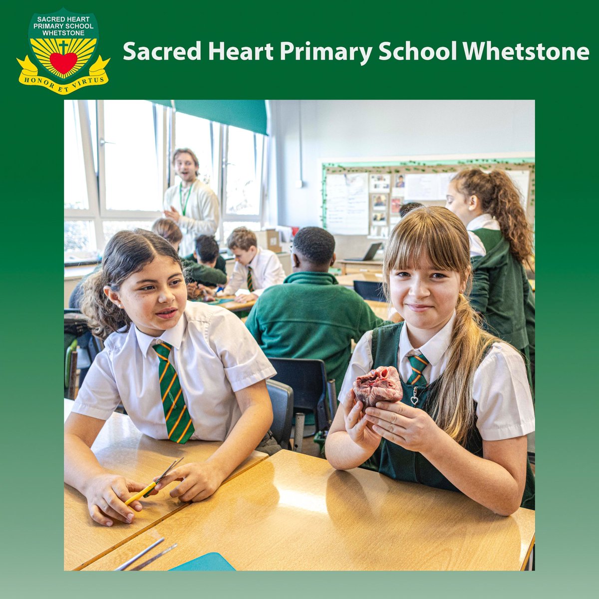 Sacred Heart RC Primary School tweet media