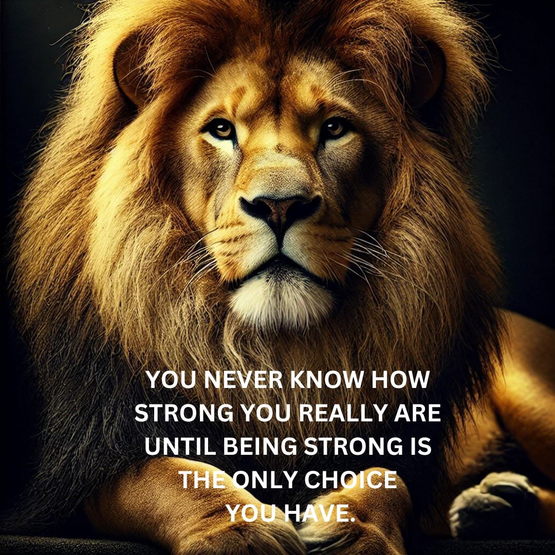 Ithia Ruefli (@ruefliithia) on Twitter photo 