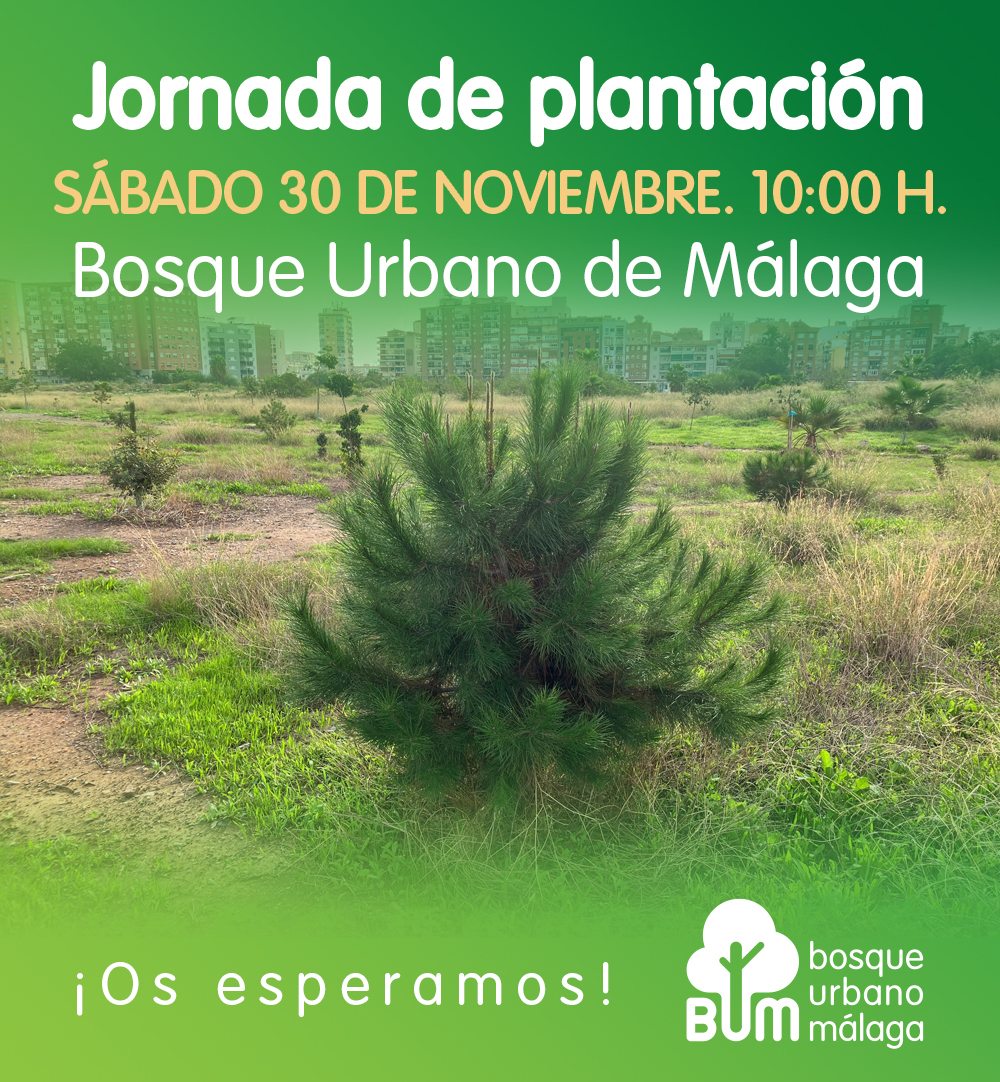 ¿No tenéis ganas de plantar #árboles? ¡En <a href="/BosqueUrbanoMA/">Bosque Urbano Málaga</a> lo estamos deseando! 🤗 ¿Nos acompañas? Este sábado, a las 10 h, plantaremos 30 árboles de especies mediterráneas. ¡No os la perdáis! Y os recordamos que es una actividad ideal para ir con los #niños. 😁 #YoQuieroBUM 💚🌳