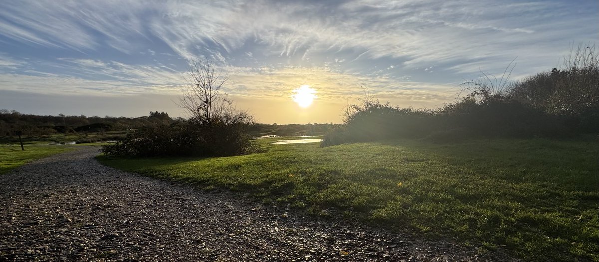 Julian Cooper tweet media