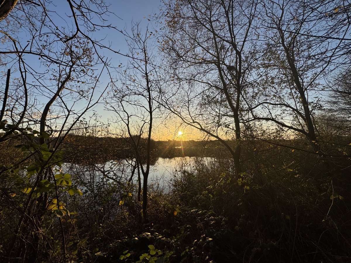 Julian Cooper tweet media