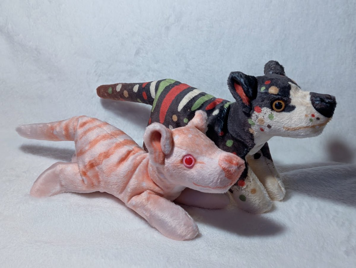 thylacereal's tweet photo. I've been sewing lots of beanies!

There's lavender, mint, saffron, salt, and pepper thylacines, and normal gorgonops-flavoured gorgonops. https://t.co/7aHUlPJq9J