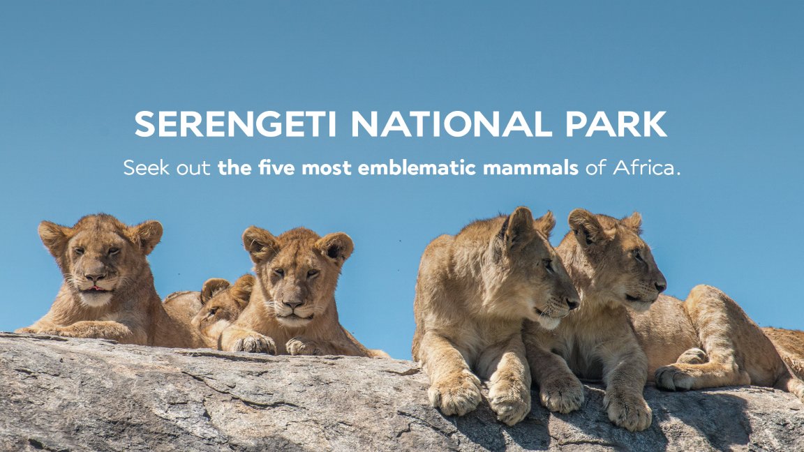 Take off to Tanzania! We are proud to inaugurate a new route from Paris CDG to Kilimanjaro With more than a quarter of the country’s land dedicated to conservation, which wildlife reserve will you visit first?
All our offers here: bit.ly/3CVcW6k