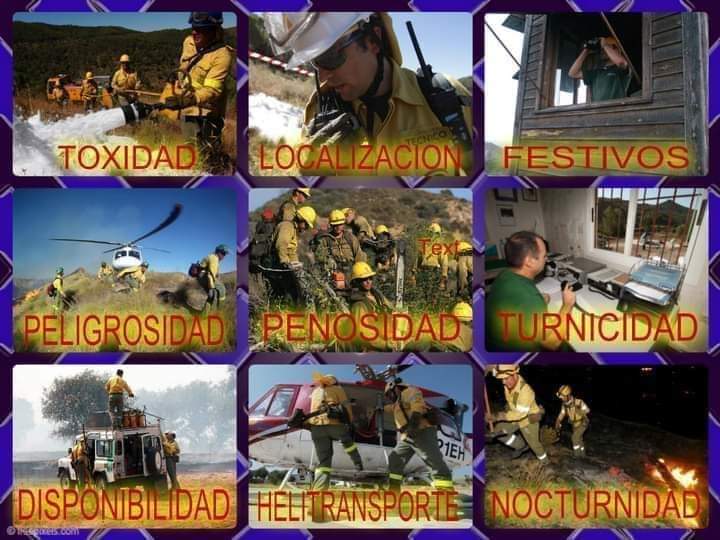LABORALES DE LA JUNTA DE ANDALUCIA, LO DEMAS SON TONTERIAS

Mientras unos pidén antigüedad y estabilidad para Amaya, los de infoca se juegan la vida, sin percibir pluses de toxidad, penosidad, nocturnidad, peligrosidad, turnicidad, festivos y por guardias o Antigüedad.