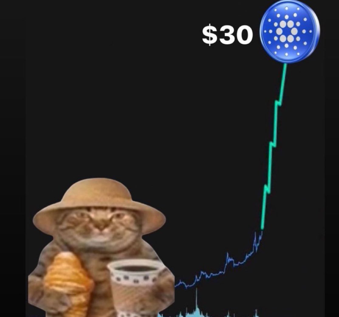 You wake up tomorrow to $ADA at $30

What’s the first thing you do?