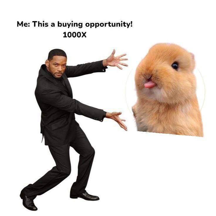NFThings_'s tweet photo. @MengChongSol @BitMartExchange The best time to buy $MENG https://t.co/K4krEwJmwf