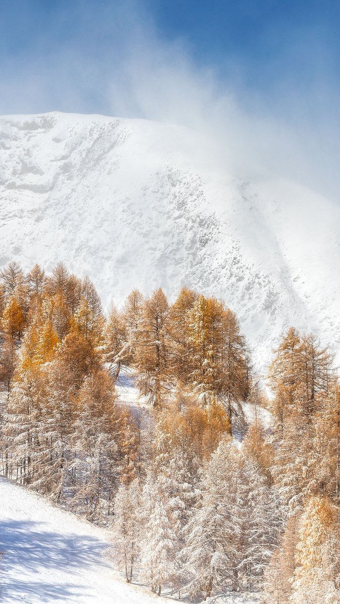 AdrienNoat's tweet photo. Bonsoir tout le monde,

Les Alpes de Haute-Provence en pleine transition de saison ! Ici dans le Val d'Allos. L'automne laisse sa place à l'hiver 

#photo #alpesdehauteprovence #meteo https://t.co/71xpyhKFBg