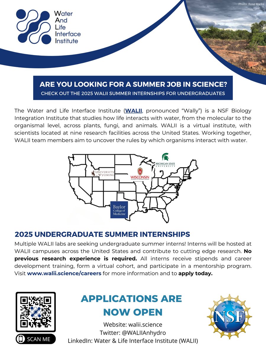 Are you an undergrad looking for a summer research position? 5 WALII labs are now accepting summer undergraduate research internships! Click here to learn more and apply: bit.ly/WALII-jobs