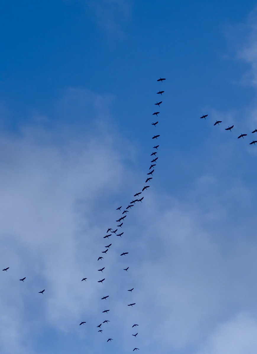I’m about to join the migration: 
jan-ache.bsky.social