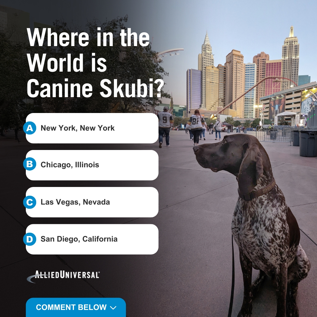 AlliedUniversal's tweet image. Do you know where in the world Canine Skubi is? Drop your answers in the comment below!

#WhereInTheWorld #CanineDetection #BombDog #ExplosivesDetection #FirearmsDetection