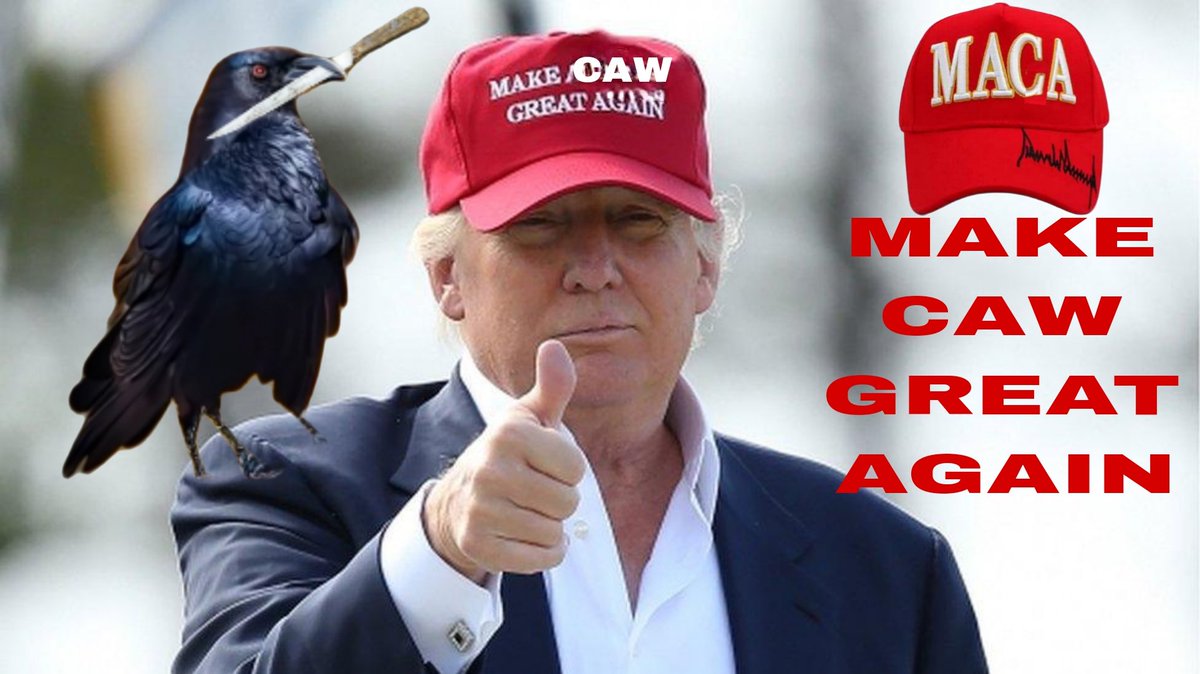 politicseu7's tweet image. Make CAW Great Again 🐦‍⬛ 🔪

Since he kickstarted the bull run when it comes to crypto you always listen to what Donald Trump has to say. If he says Make CAW Great Again you know making Crow with Knife Great Again is the only option 💰

#crowwithknife #CAW #maca #makecawgreatagain