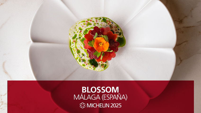 Nuevo 1 #EstrellasMICHELIN #GuiaMICHELIN2025: #Blossom, Málaga.
El chef Emi Schobert, que busca la inspiración "en el mar, la montaña y los productos locales", ofrece una cocina de fusión donde no faltan destellos de creatividad.
#MICHELINSTAR25 #GUIAMICHELINESP