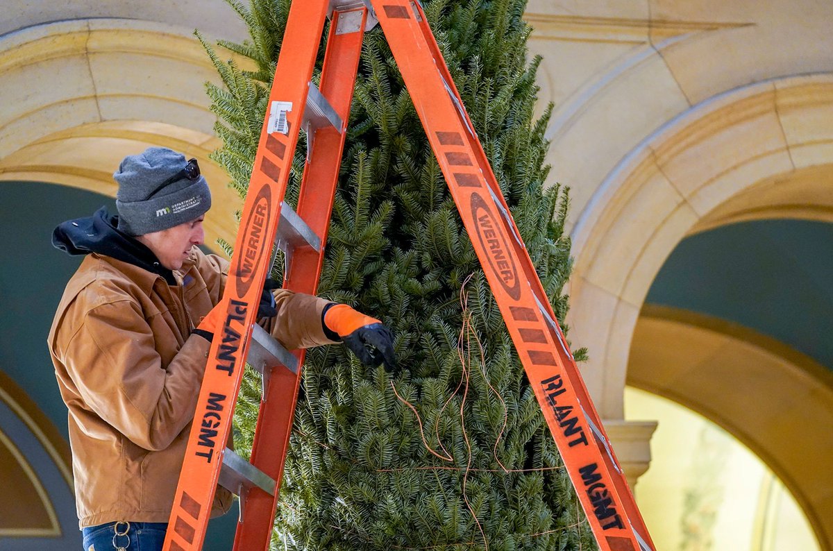 Staff dressed the Capitol up for the holidays Nov. 26, installing an 18-foot balsam fir tree in the Rotunda. Happy Land Tree Farm of Sandstone provided the Capitol's Christmas tree after growing the grand champion version at this year's MN State Fair. 

📸 Michele Jokinen

#mnleg