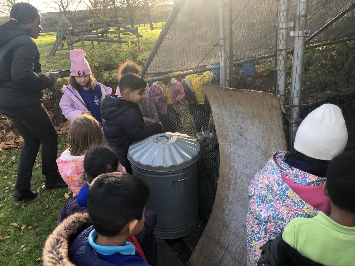 @SamTVI (@samtvi1) on Twitter photo This week we are learning about farm animals ๐ . The children visited the chickens and gave them some food to eat. <a href="/AdamDobsonTVI/">Adam Dobson</a> <a href="/TVInfants/">Thames View Infants</a> This week we are learning about farm animals ๐ . The children visited the chickens and gave them some food to eat. <a href="/AdamDobsonTVI/">Adam Dobson</a> <a href="/TVInfants/">Thames View Infants</a>