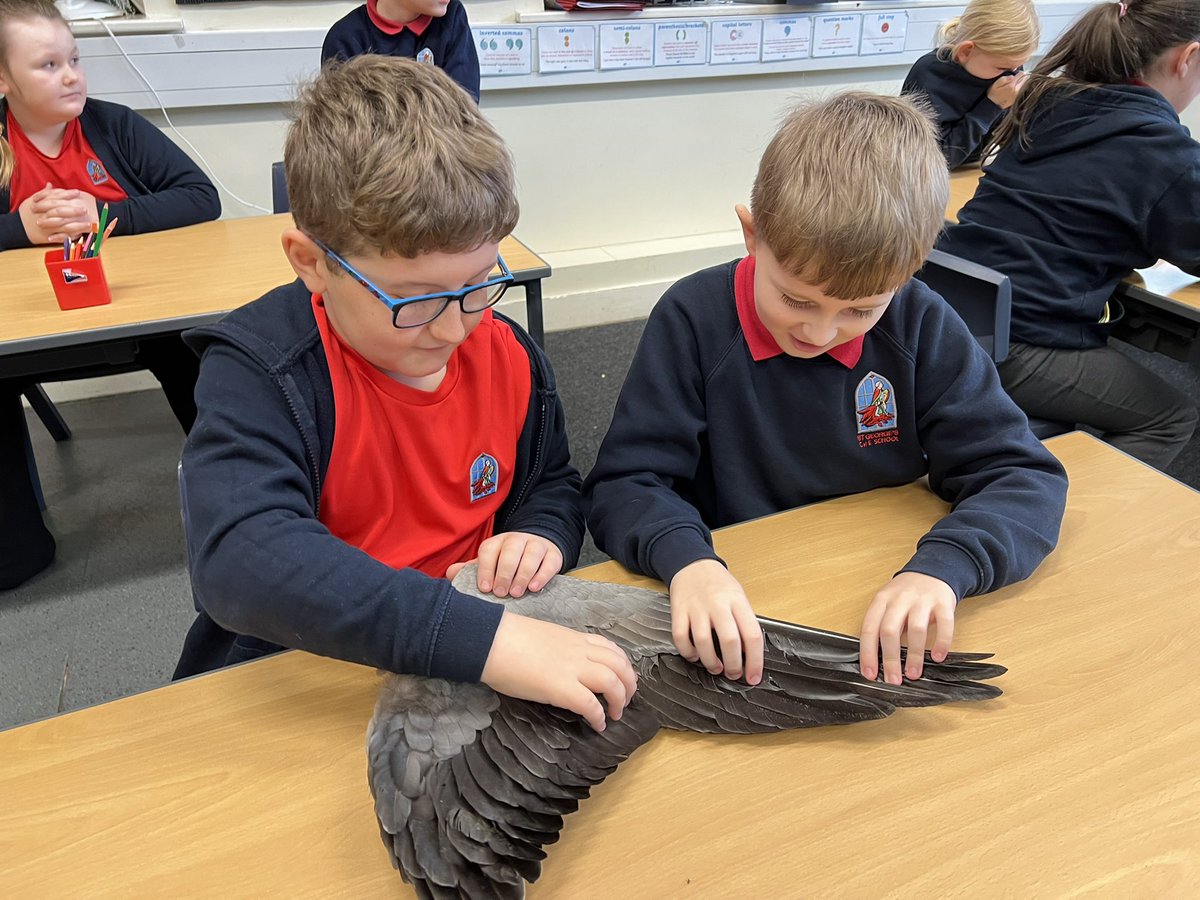 St George's Primary (@school_georges) on Twitter photo Year 4 explored geese wings as part of their English lessons exploring Tim Birkhead’s and Catherine Rayner’s fantastic book What it’s Like to be a Bird <a href="/TimBirkhead1/">Tim Birkhead</a> <a href="/catherinerayner/">Catherine Rayner</a> Year 4 explored geese wings as part of their English lessons exploring Tim Birkhead’s and Catherine Rayner’s fantastic book What it’s Like to be a Bird <a href="/TimBirkhead1/">Tim Birkhead</a> <a href="/catherinerayner/">Catherine Rayner</a>