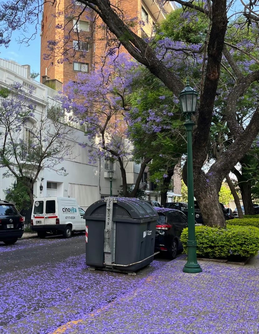Y si
Y si nos damos besitos mientras llueven florecitas de jacarandas???