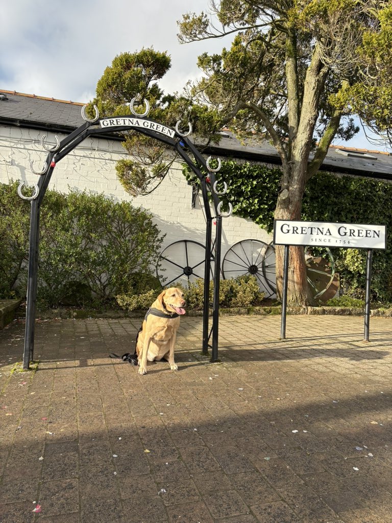 @BluepawWB (@bluepawwb) on Twitter photo 🦮Blue Paw Road Trip🏴
Day Two
Today we arrived in Glasgow, en route a quick stop at Gretna Green but we were not asked to be witnesses. Now in Glasgow with our Paws up before a full Wellbeing Day tomorrow <a href="/BTP/">British Transport Police</a> #Wellbeing #support 🦮Blue Paw Road Trip🏴
Day Two
Today we arrived in Glasgow, en route a quick stop at Gretna Green but we were not asked to be witnesses. Now in Glasgow with our Paws up before a full Wellbeing Day tomorrow <a href="/BTP/">British Transport Police</a> #Wellbeing #support