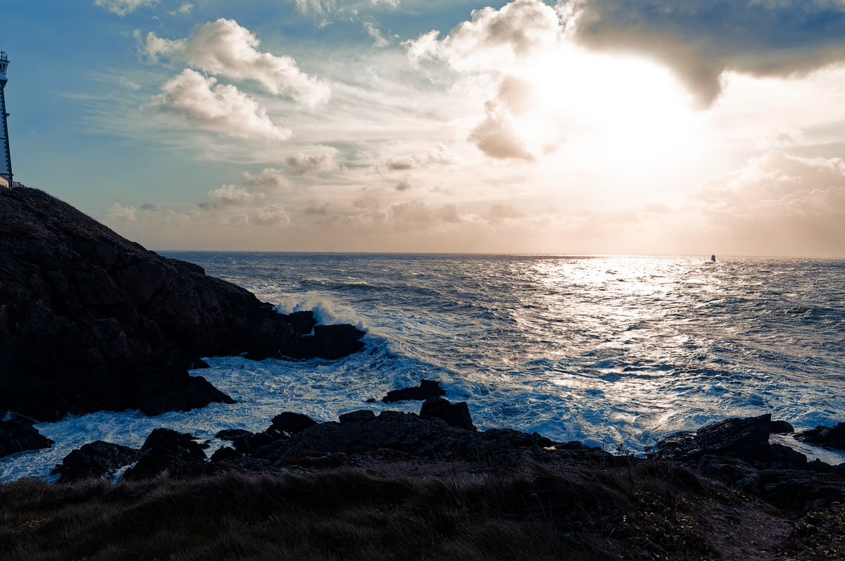 Vendéen tweet media