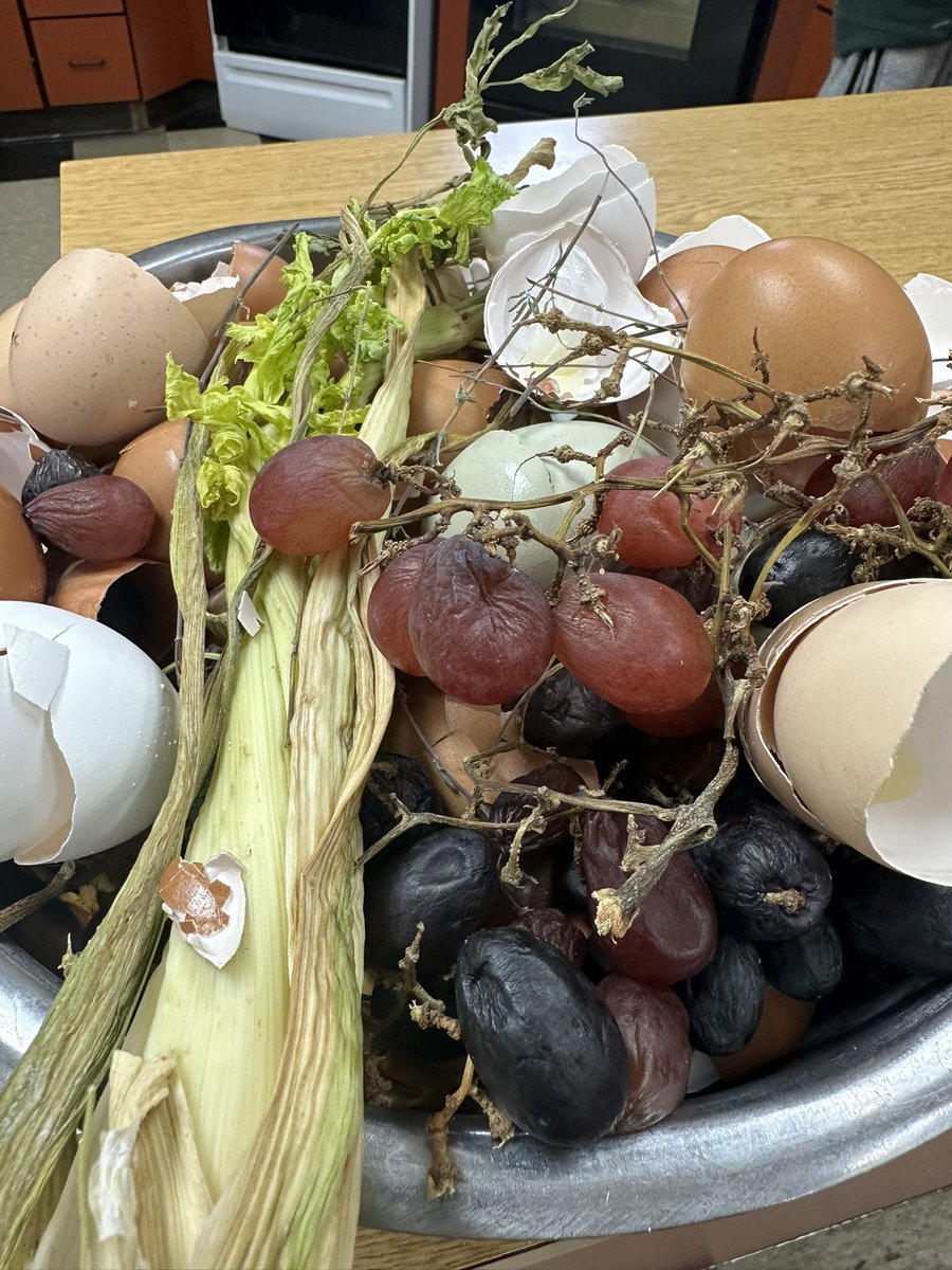 zeps_fcs's tweet photo. We have a new addition to our middle school classroom! A SECOND composting bin just like the one at the high school was gifted to us by Ms. Tabby! 

The fifth graders put it to good use right out of the gate! “It’s good to be GREEN” is taking on a whole new meaning! 🌱 https://t.co/cD9Yg1FCe8