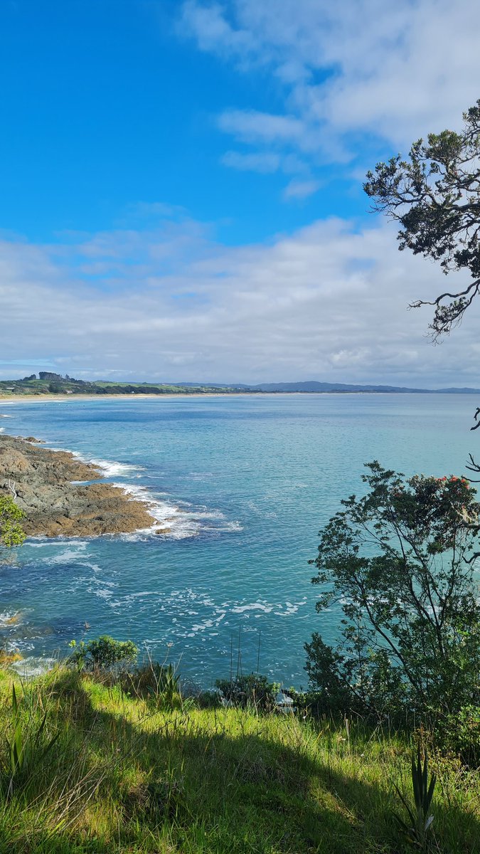 Cervantée Wild 🦋 (@cervanteewild) on Twitter photo Back in Aotearoa! It has been a wonderful three years with <a href="/OxPrimaryCare/">OxPrimaryCareSci</a> and <a href="/greentempleton/">Green Templeton College</a> and fantastic colleagues but now I'm home for new adventures with <a href="/FMHS_UoA/">Faculty of Medical and Health Sciences UoA</a> thanks to <a href="/MedResearchNZ/">AMRF</a>
Looking forward to focusing on access to timely specialist services for children 🙌 Back in Aotearoa! It has been a wonderful three years with <a href="/OxPrimaryCare/">OxPrimaryCareSci</a> and <a href="/greentempleton/">Green Templeton College</a> and fantastic colleagues but now I'm home for new adventures with <a href="/FMHS_UoA/">Faculty of Medical and Health Sciences UoA</a> thanks to <a href="/MedResearchNZ/">AMRF</a>
Looking forward to focusing on access to timely specialist services for children 🙌