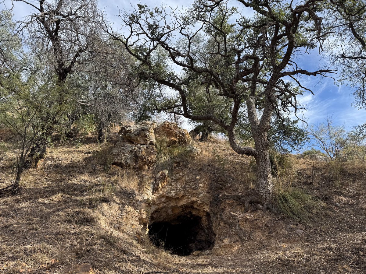 CoronadoNF's tweet photo. The Nogales Ranger District is seeking comments on a scoping proposal for the Santa Rita Abandoned Mine Land Closures, which proposes to close 57 abandoned mine features. Documents are available for review through Jan. 6 at: https://t.co/Ru4vHoEYXl https://t.co/4ep5wCeRgb