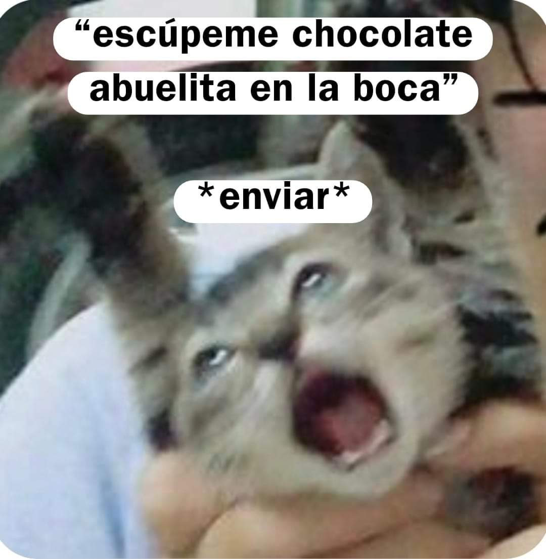 Nasty Poet (@nxstypxet) on Twitter photo 