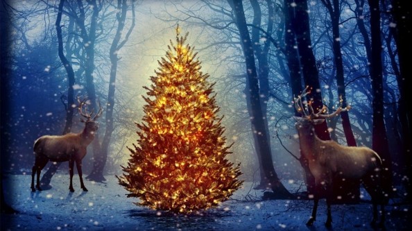 ATSTelemetry's tweet image. ATS Holiday Tracking Points is available now! Have a safe and Happy Holidays from our team.

Link to Tracking Points:
t.e2ma.net/message/4hs125…