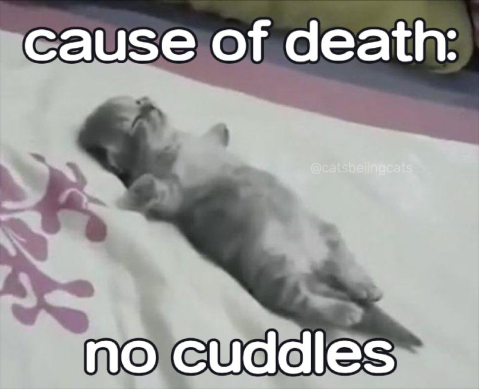 no cuddles