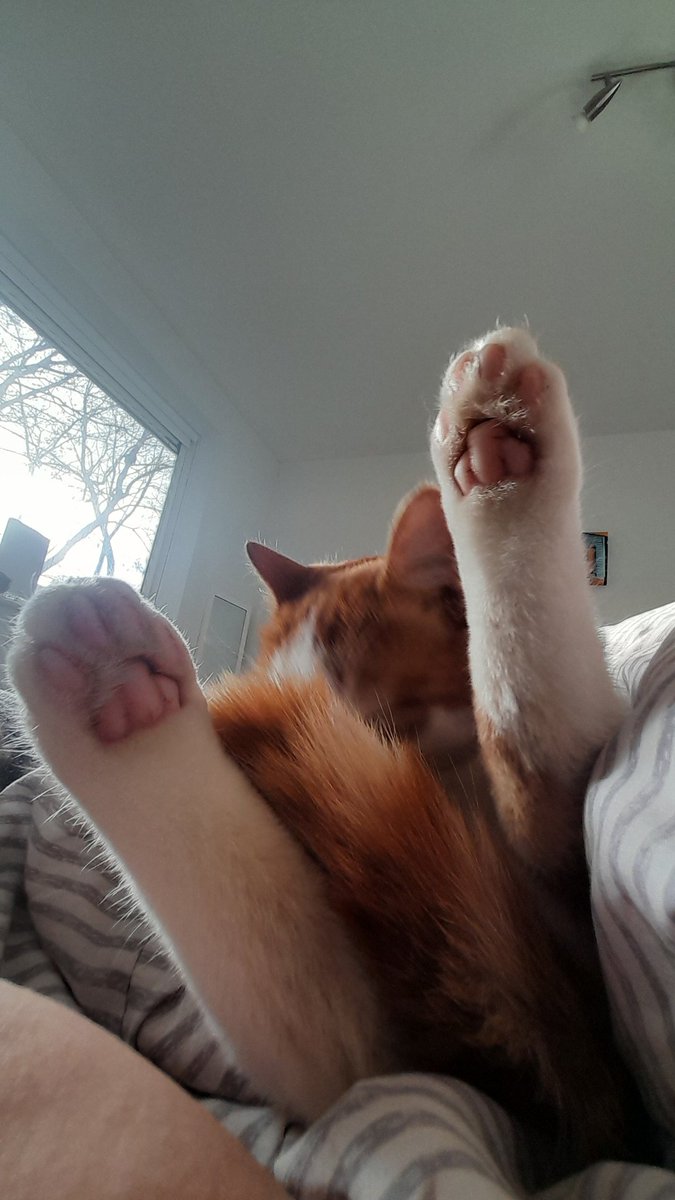 Baba, Nalu & Sanji tweet media