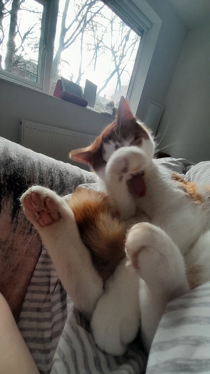 Baba, Nalu & Sanji tweet media