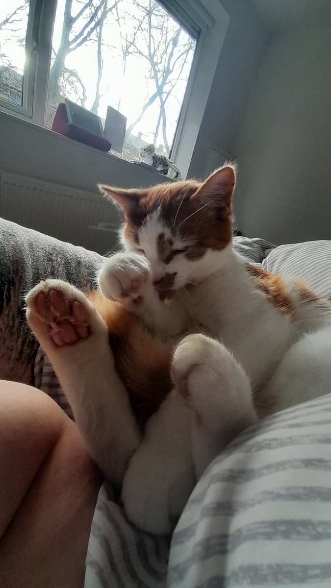 Baba, Nalu & Sanji tweet media