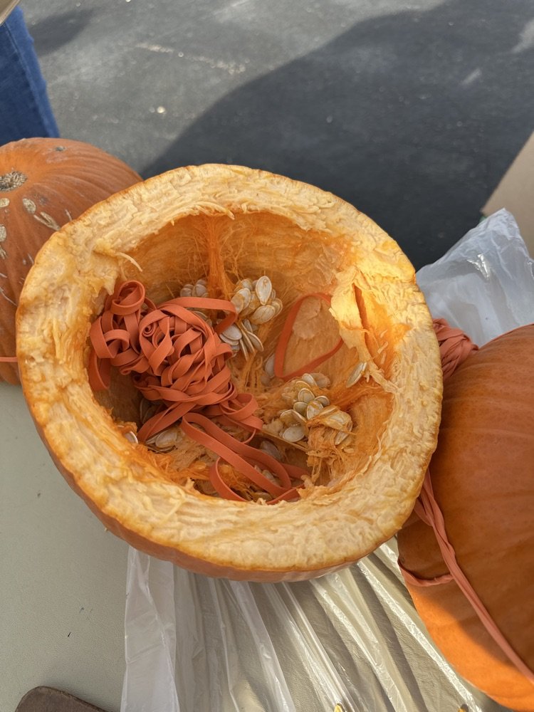 MrsSyron's tweet image. Do you know what happens when the external pressure is greater than the internal pressure of a pumpkin? #LimitlessLearning #underpressure