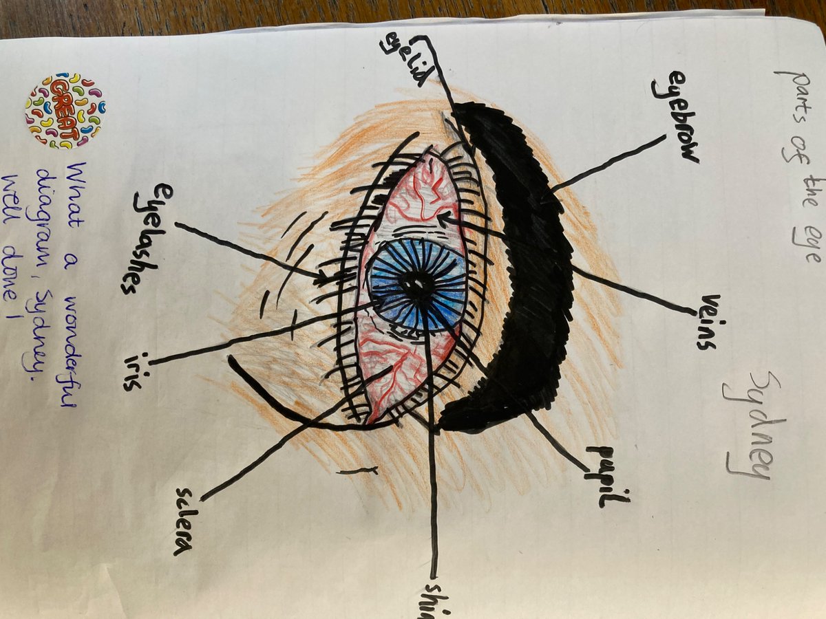 Colinton Primary tweet media