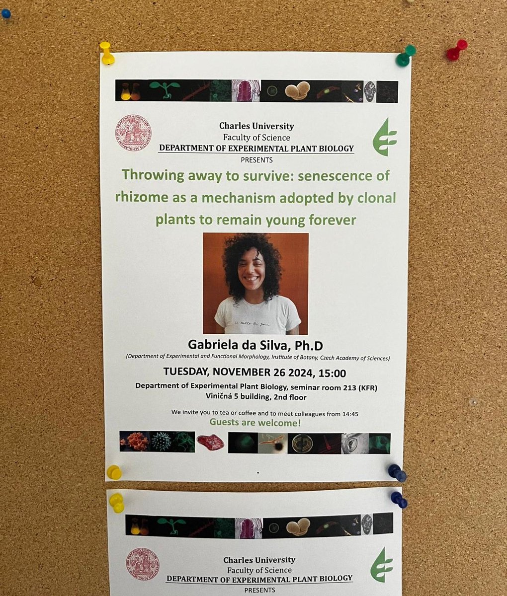 gabotanic_'s tweet photo. Today I went to Prague to talk a bit about the topic I'm currently dedicating myself to understand: the senescence of belowground organs 🫚🧄🥔
It was amazing, with a lot of questions after the talk. I was excited before but now I'm inspired 😄 https://t.co/0sZaVQuNVL
