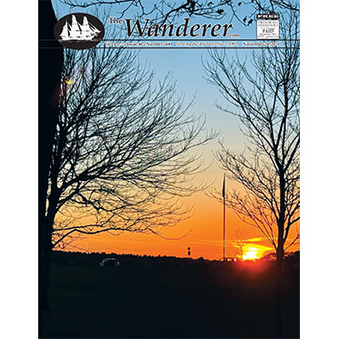 The Wanderer tweet media