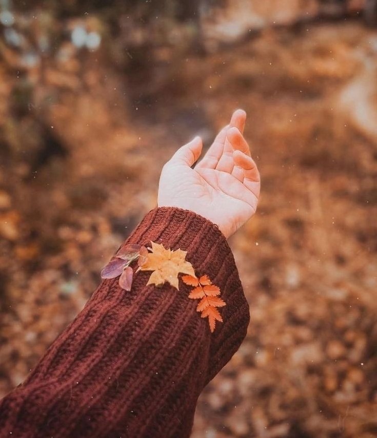 الخريف يشبهنا  إلى حد كبير 
 يشبه اللحظات التي نقرر أن نتجرد فيها من روحنا المتعبة ، لنستبدلها بروح جديدة 
لتزهر وتنمو وتنضج في فصل الربيع