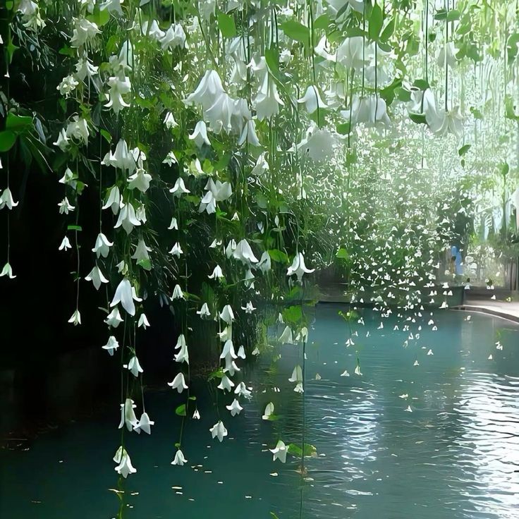 peacozy's tweet image. 