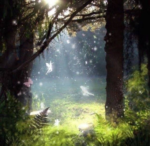 peacozy's tweet image. 