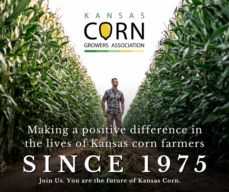 Kansas Corn tweet media