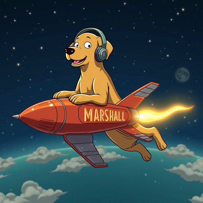 Big things are coming with #MARSHALL, and you don’t want to miss the chance to get in early. Watch your investment grow as we take this journey to the top
