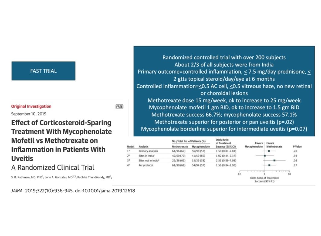 RitasmanB's tweet photo. Trial on MMF 🆚 MTX 💊 in non-infectious uveitis 
People from 🇮🇳 
MTX 💊 superior for posterior or pan uveitis 👀
MMF borderline superior for intermediate uveitis
#ACR2024 #ACRAmbassador https://t.co/Zz2Yw1aOg8