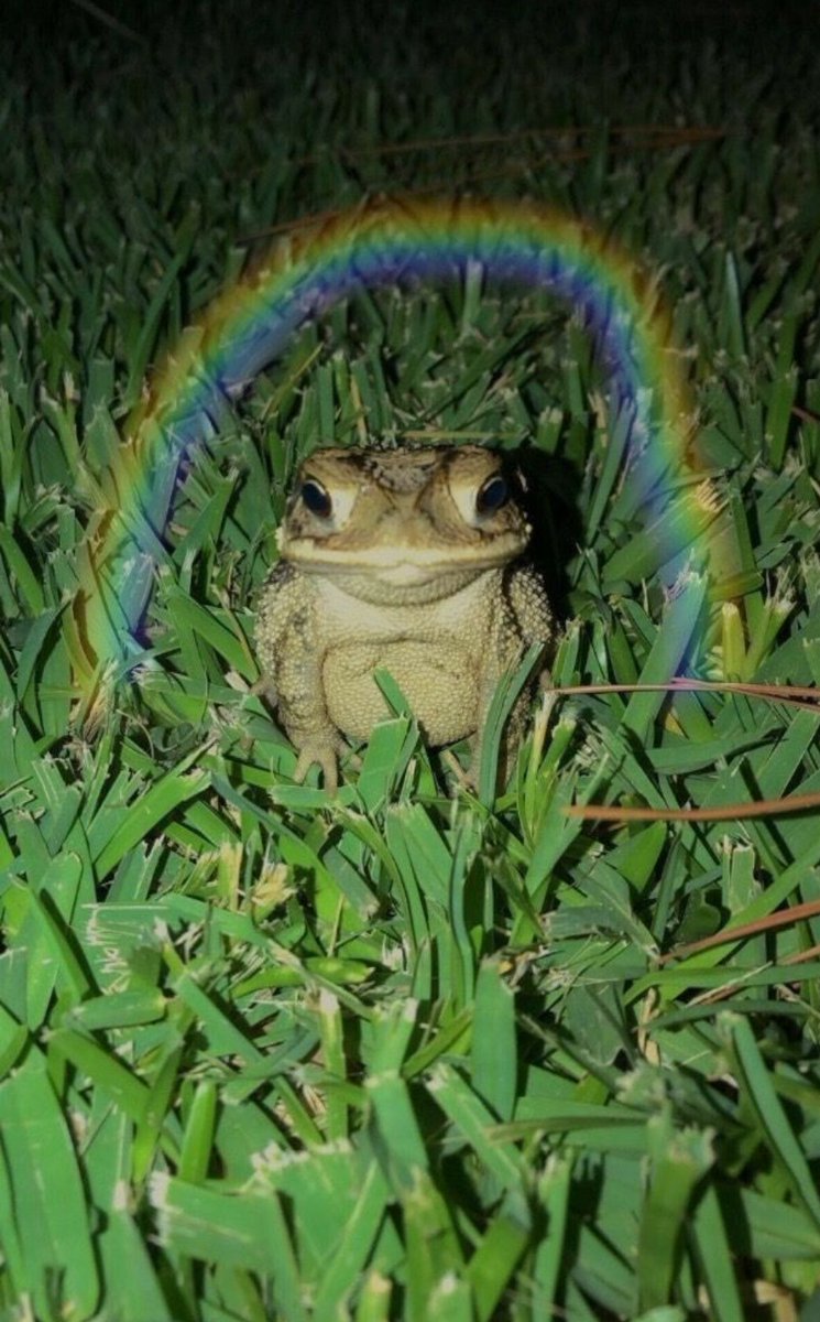 alpatch3_0's tweet image. 8HgY5yYURiB2F2FZiVJJSbLMZXAqxu7JqkoXfZeopump
$bogart