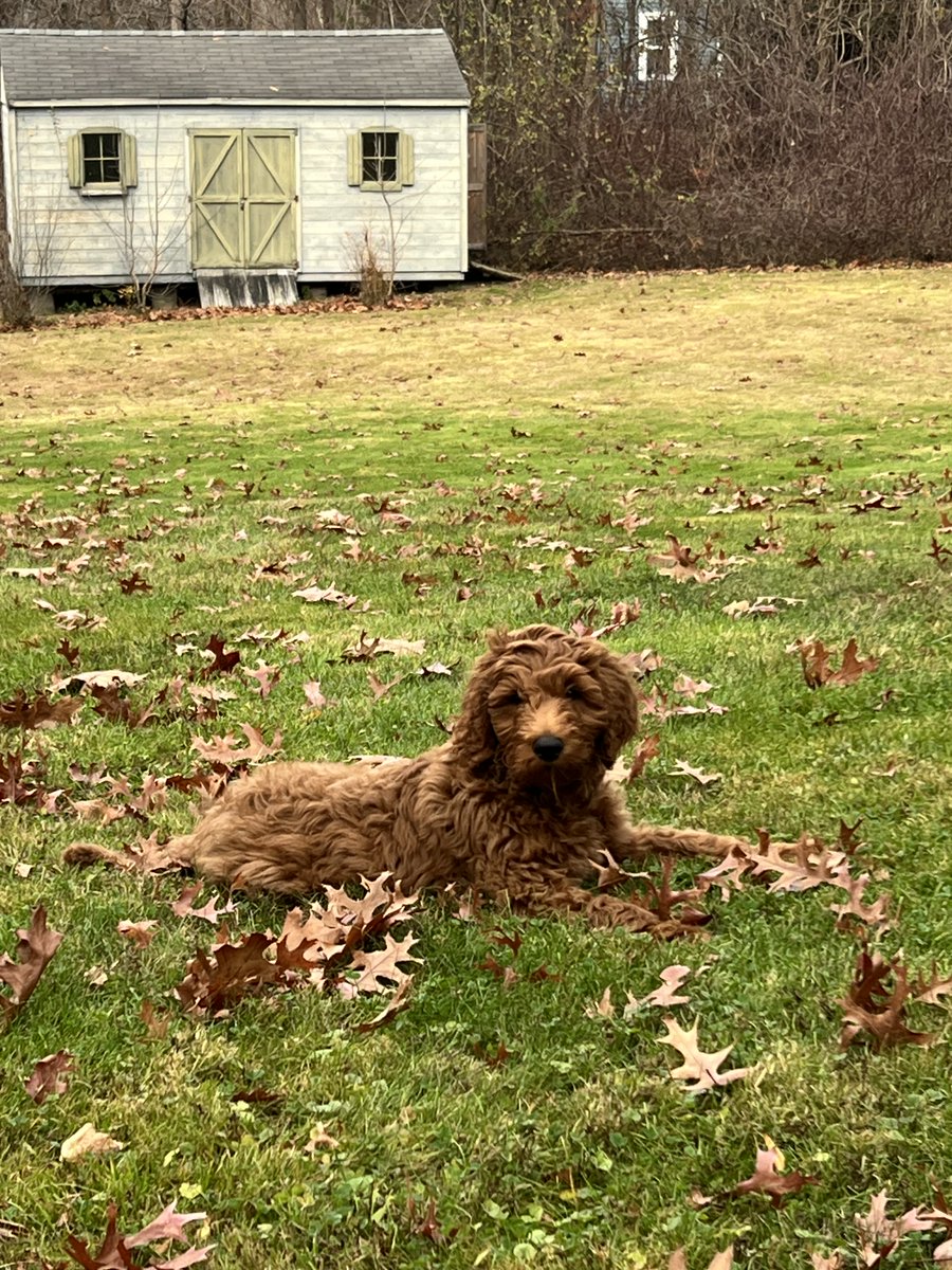 Andover DPW tweet media