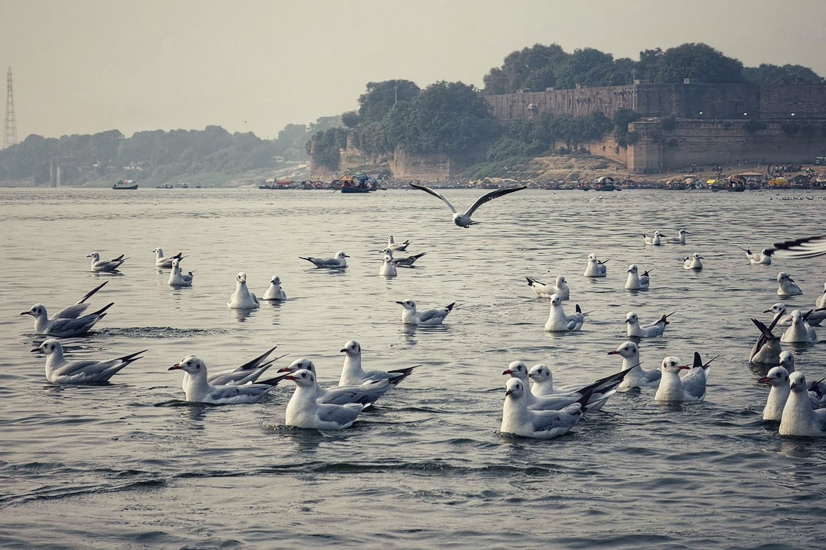 The Triveni Sangam in Allahabad is a confluence of 3 rivers, the Ganga, Yamuna, and Saraswati.

It is believed that all the gods come in human form to take a dip at the Sangam and expiate sins.