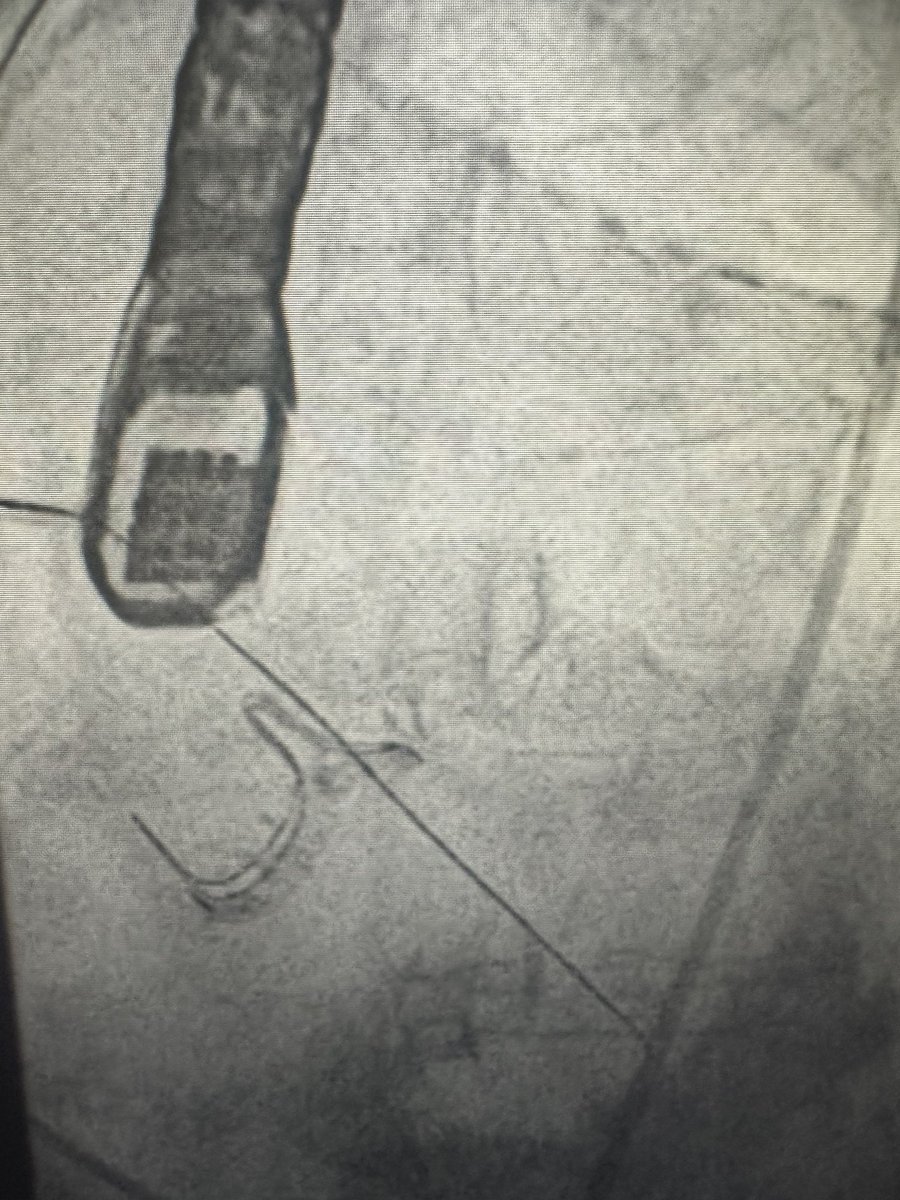 Gennaro Giustino, MD tweet media