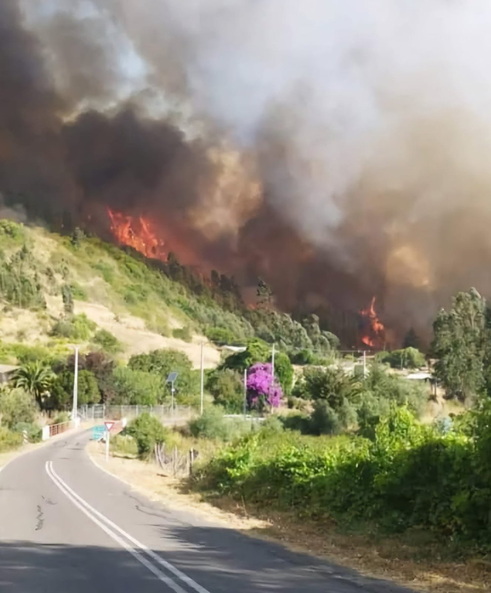 17:25 | 🚨🔥#AlertaRoja #Navidad INCENDIO FORESTAL "Centinela" con amenaza inminente a 100 viviendas <a href="/reddeemergencia/">Red de Emergencia ONG</a> <a href="/Sepulinares/">Alejandro Sepúlveda Jara</a> <a href="/RedGeoChile/">Red Geocientífica de Chile</a>  

🔥🔥🔥Incendio a 500 mts distancia. 

🚨Trabajan: 

Sale J1 #Pichilemu 
B3 #SantaCruz
BX5 #SanVicente 
H2 #Marchigue 
BF2 #Peralillo